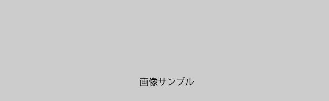 サンプル画像