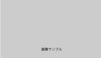 サンプル画像
