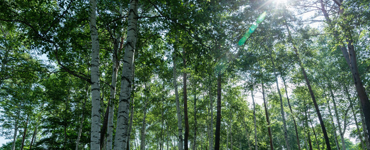 環境への取り組み