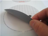 台紙からシールをはがす